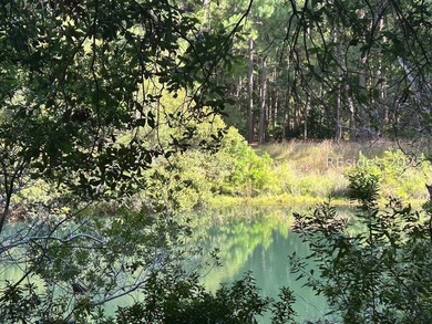 Discover the peace and natural beauty of Daufuskie Island with - photo 1
