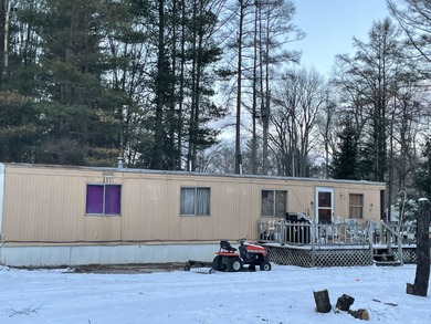 Lake Home For Sale in Lake George, Michigan