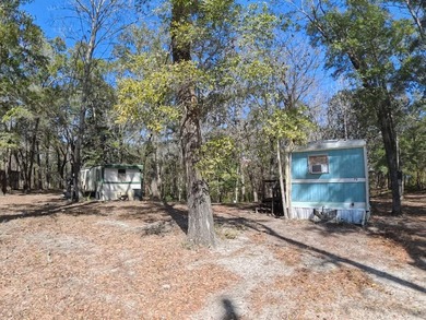 large lot just under an acre. lot comes with one septic tank and - photo 21