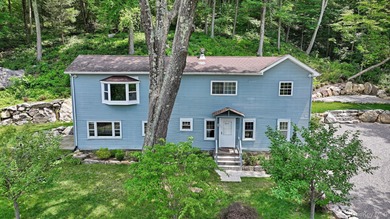 Bog Hollow Lake  Home Sale Pending in Wassaic New York