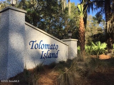 The charm of a Southern neighborhood is Tolomato Island located - photo 2