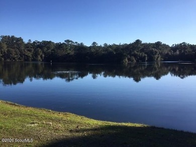 The charm of a Southern neighborhood is Tolomato Island located - photo 10