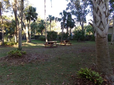 Wow! Looking for a first floor unit? You have found it! And the - photo 5