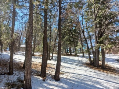 Big Bear Lake Lot For Sale in Big Bear City California