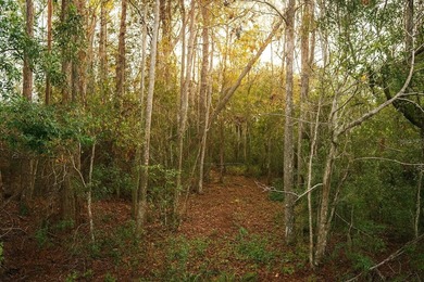 Lake Harris Acreage Sale Pending in Yalaha Florida