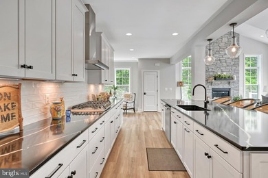 BRAND NEW COMPLETED 5-BEDROOM WATERFRONT HOME INCLUDING A NEW - photo 50