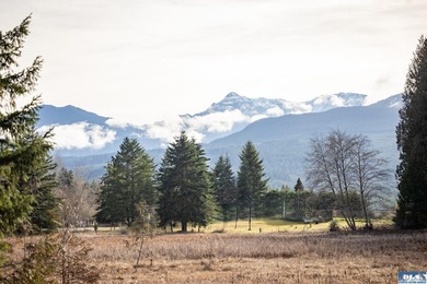 A gem in Sequim! There's a reason this parcel feels like a - photo 1