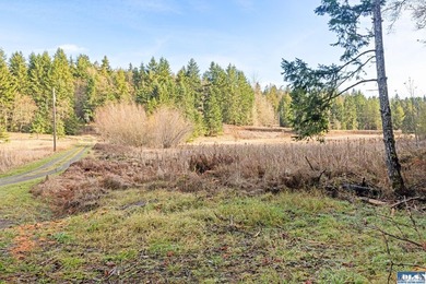 A gem in Sequim! There's a reason this parcel feels like a - photo 2
