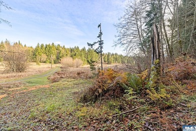 A gem in Sequim! There's a reason this parcel feels like a - photo 3