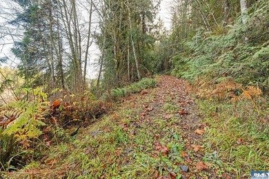A gem in Sequim! There's a reason this parcel feels like a - photo 4