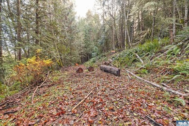 A gem in Sequim! There's a reason this parcel feels like a - photo 5