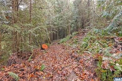 A gem in Sequim! There's a reason this parcel feels like a - photo 6