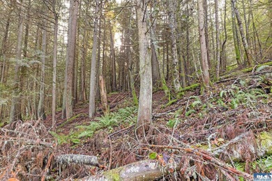 A gem in Sequim! There's a reason this parcel feels like a - photo 7