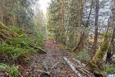 A gem in Sequim! There's a reason this parcel feels like a - photo 8