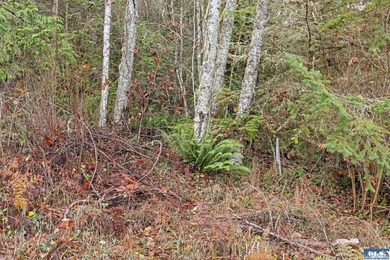 A gem in Sequim! There's a reason this parcel feels like a - photo 9