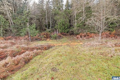 A gem in Sequim! There's a reason this parcel feels like a - photo 10