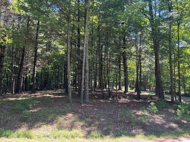 2 1/2 ACRES - READY TO BUILD! Near Blue Ridge Parkway - photo 3