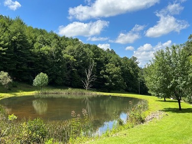 2 1/2 ACRES - READY TO BUILD! Near Blue Ridge Parkway - photo 4