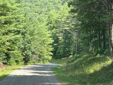 2 1/2 ACRES - READY TO BUILD! Near Blue Ridge Parkway - photo 5