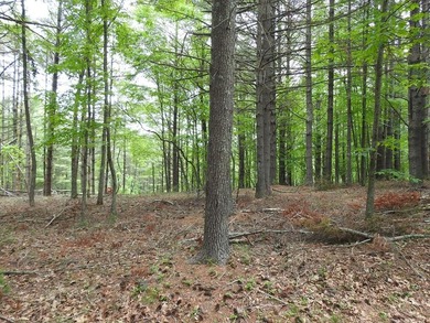 2 1/2 ACRES - READY TO BUILD! Near Blue Ridge Parkway - photo 6