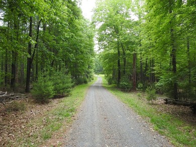 2 1/2 ACRES - READY TO BUILD! Near Blue Ridge Parkway - photo 7