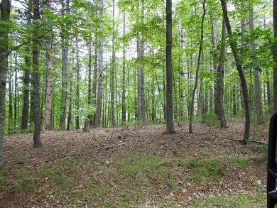 2 1/2 ACRES - READY TO BUILD! Near Blue Ridge Parkway - photo 8