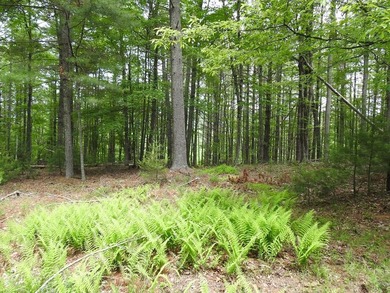 2 1/2 ACRES - READY TO BUILD! Near Blue Ridge Parkway - photo 9