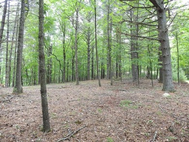 2 1/2 ACRES - READY TO BUILD! Near Blue Ridge Parkway - photo 10