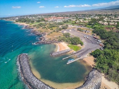 Beach days are just moments away from Kihei Shores C201! Located - photo 39