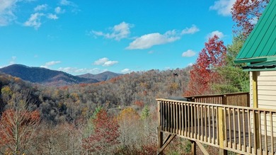 'BEST KEPT SECRET IN Western North Carolina is here. This home - photo 3
