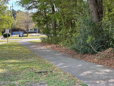 Nicely wooded lot on the corner of McRae St and Swann St. Close - photo 3
