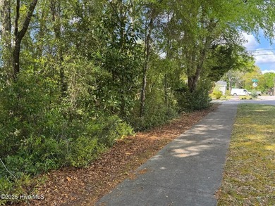 Nicely wooded lot on the corner of McRae St and Swann St. Close - photo 5