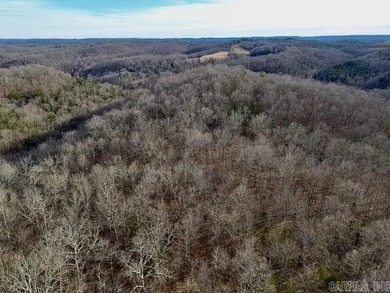 (private lake, pond, creek) Acreage For Sale in Saint Joe Arkansas