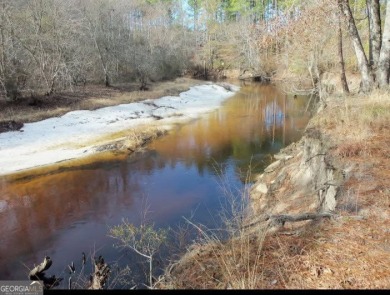 Lake Lot For Sale in Claxton, Georgia
