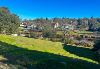 (private lake, pond, creek) Lot For Sale in Valley Springs California