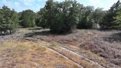 Somerville Lake Lot For Sale in Somerville Texas