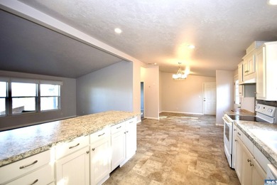 Beautiful & bright home with extensive upgrades & vaulted - photo 9