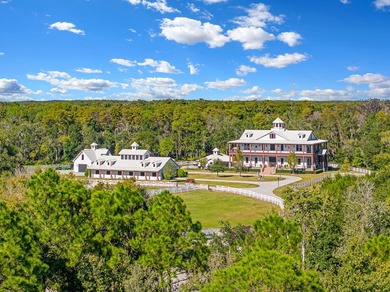 Tucked behind a private gated entrance just north of Tampa and - photo 10