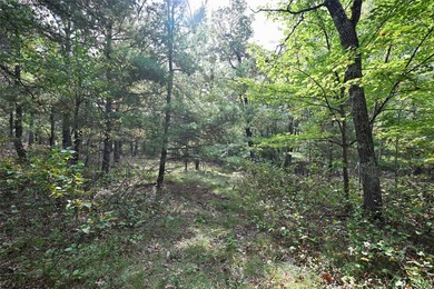 Discover the perfect opportunity to own 3.74 acres of beautiful - photo 6
