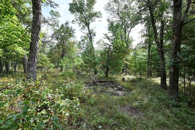 Discover the perfect opportunity to own 3.74 acres of beautiful - photo 7