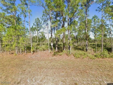 Lehigh Acres Area Lot For Sale in Lehigh Acres Florida