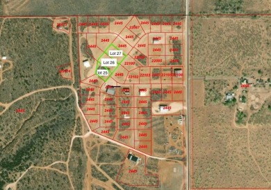 Lake Lot For Sale in Justiceburg, Texas