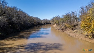 (private lake, pond, creek) Home For Sale in Goldthwaite Texas