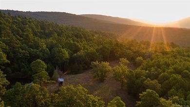 Jackfork Ranch: A Hidden Gem for Visionary Development Located - photo 4