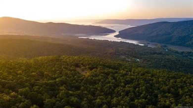 Jackfork Ranch: A Hidden Gem for Visionary Development Located - photo 5