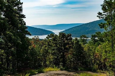 Jackfork Ranch: A Hidden Gem for Visionary Development Located - photo 6