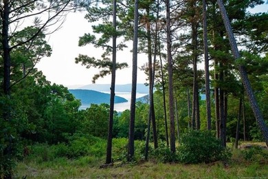 Jackfork Ranch: A Hidden Gem for Visionary Development Located - photo 8
