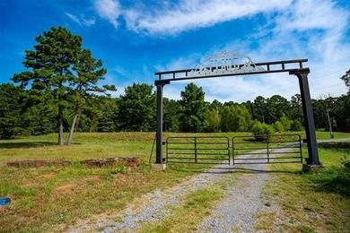 Jackfork Ranch: A Hidden Gem for Visionary Development Located - photo 9