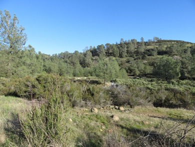 Emery Reservoir Acreage For Sale in Mountain Ranch California