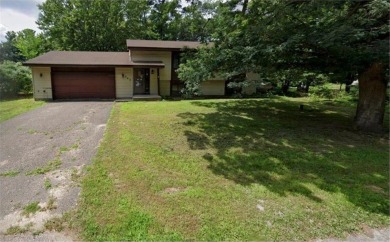 Lake Home For Sale in East Bethel, Minnesota